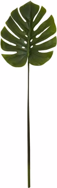 Orsina Green Monstera Palm Stem, Height: 109 cm – 1