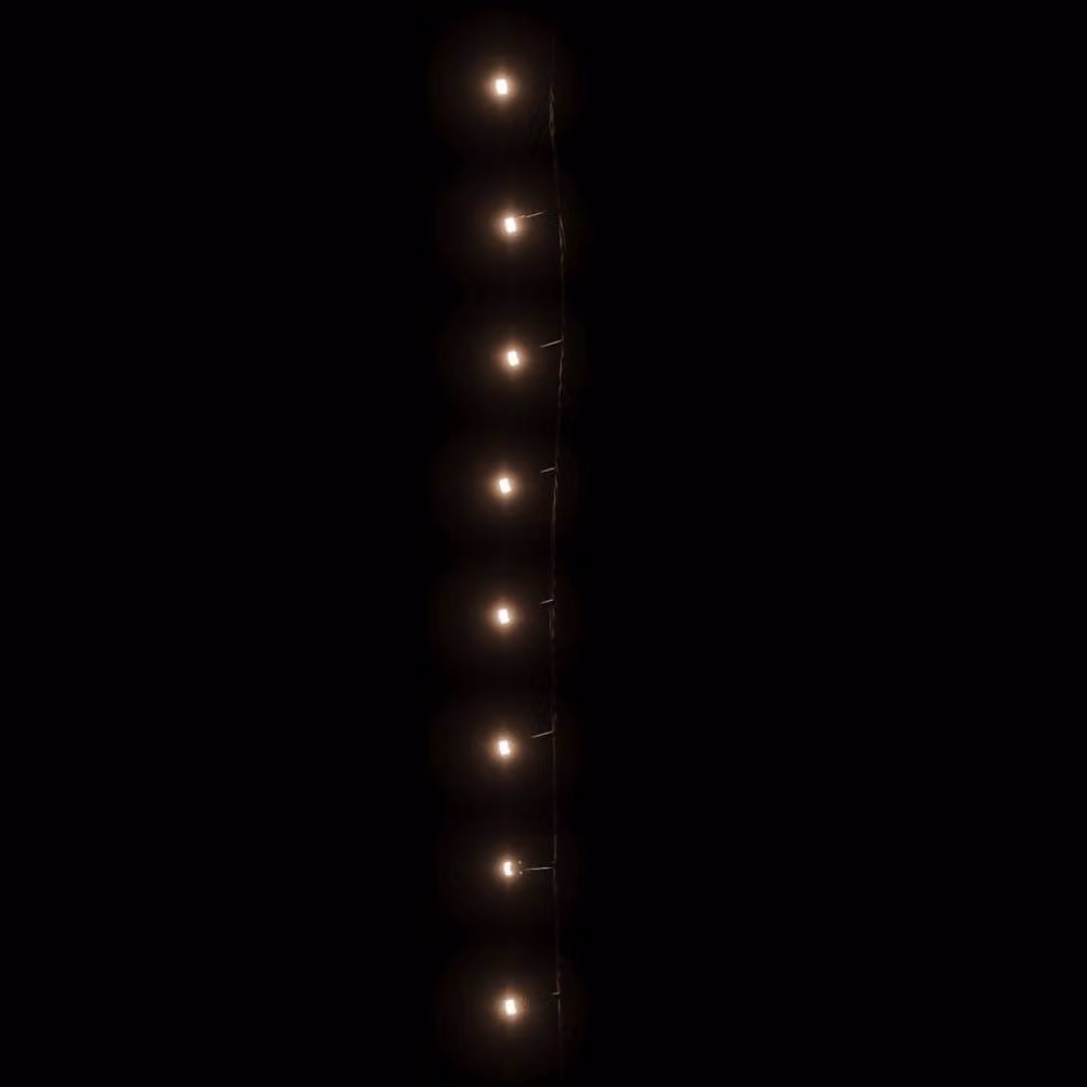 Berkfield Home Warm White LED String Light with 300 LEDs, 30 m, PVC – 4
