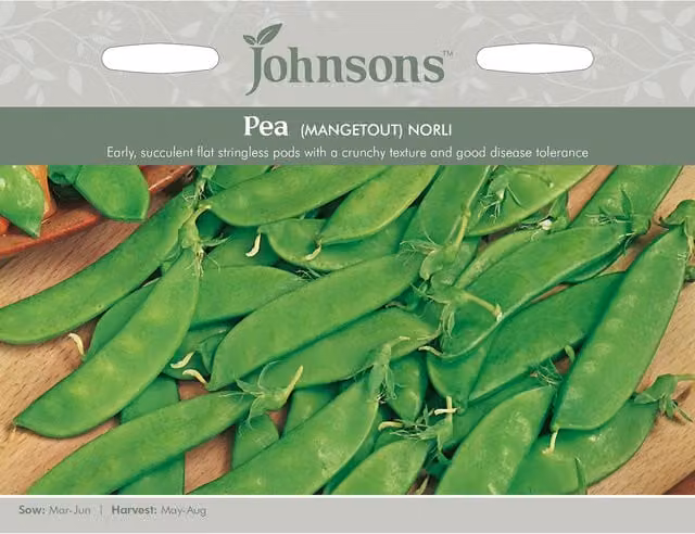 Johnsons Norli Mangetout Pea Seeds, Green Vegetable Seeds for Spring and Summer Planting
