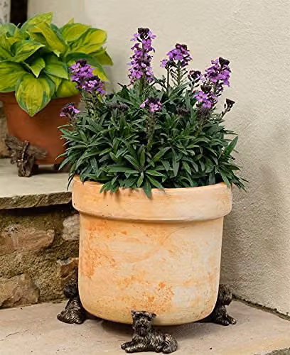Jardinopia Yorkshire Terrier Plant Pot Feet, Bronze, Set of 3 – 4