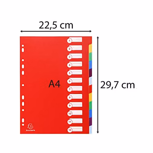 Exacompta A4 Rigid Opaque Plastic Dividers with 12 Blank Tabs in Multicolour – 5