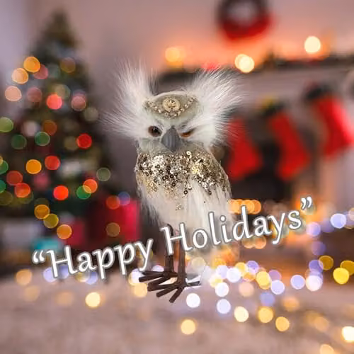 VFM e-Store Christmas Velvet Owl Tabletop Decoration, Green – 3