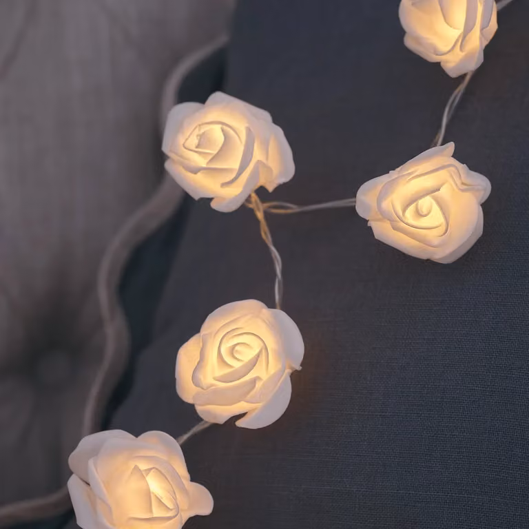 Lights4fun 30 Warm White LED Rose Fairy Lights on Transparent Cable