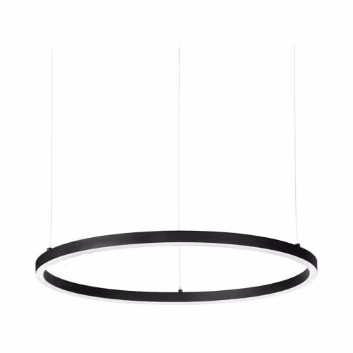 Netlighting Oracle Integrated LED Circle Ring Pendant Lamp in Black, 3000K Warm White