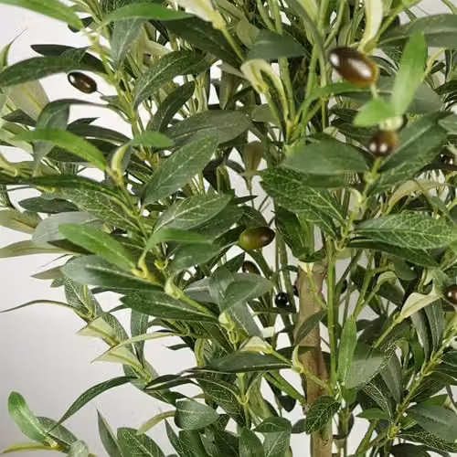 Botanik Realistic Artificial Potted Fruit Tree in Green, H 160 cm x W 60 cm x D 60 cm – 4