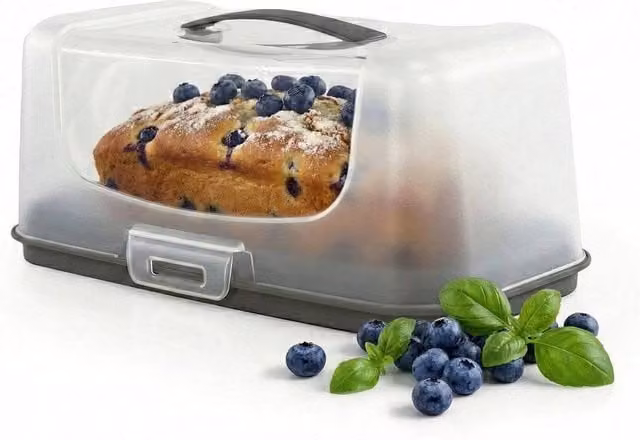 SPETLEK Rectangular Plastic Cake Carrier Box with Snap Lid in White and Transparent – 1