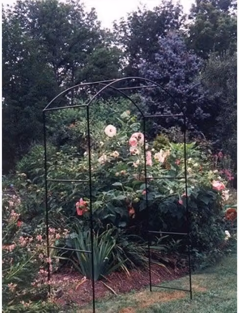 Poppyforge Monet Arch Freestanding Metal Garden Climbing Frame in Black, H: 213.4 cm x W: 152.4 cm x D: 53.0 cm