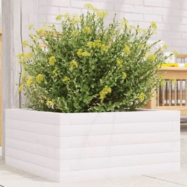 Berkfield Home White Solid Wood Pine Garden Planter Tub W/D/H: 50 x 50 x 23 cm