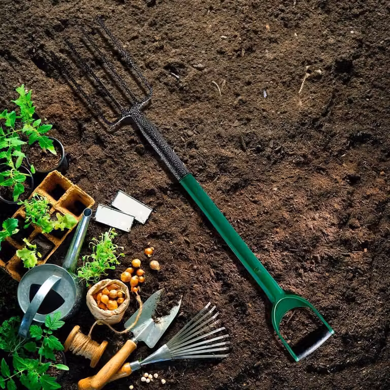 BARGAINS-GALORE 3-Piece Gardening Tool Set with Digging Spade, Border Fork and Lawn Rake in Multicolour
