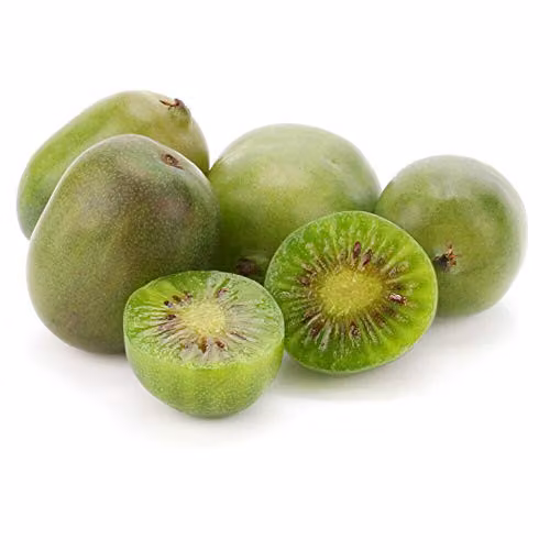 Thompson and Morgan Issai Kiwi Fruit Climber Garden Plant, Hardy Actinidia Deliciosa, 1 x 9cm Potted Plant – 3