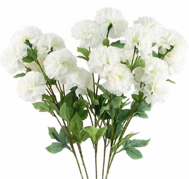Pegdev Pack of 6 White and Pink Artificial Silk Carnation Stems, Height: 70 cm