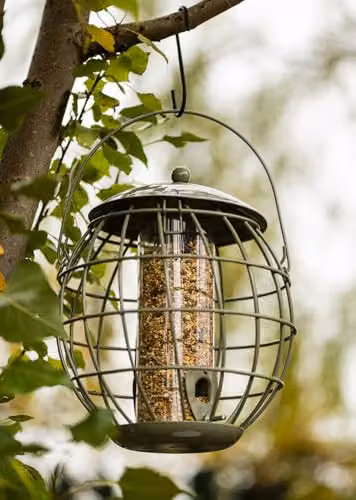 Happy Beaks Orbital Squirrel Proof Bird Feeder in Sage Green Steel, Weatherproof Garden Feeding Station for Fat Balls, Peanuts, Seeds and Suet – 2