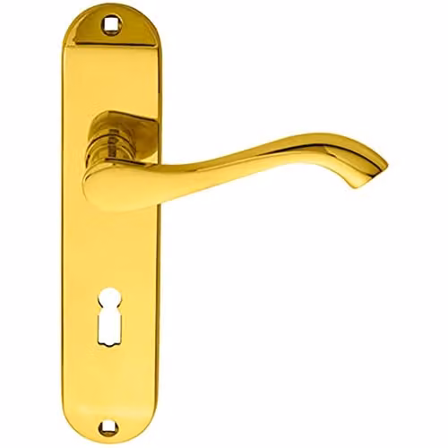 Loops Pair of Curved Handles on Chamfered Lock Backplate, Polished Brass, W: 18 cm, H: 18 cm, D: 4 cm