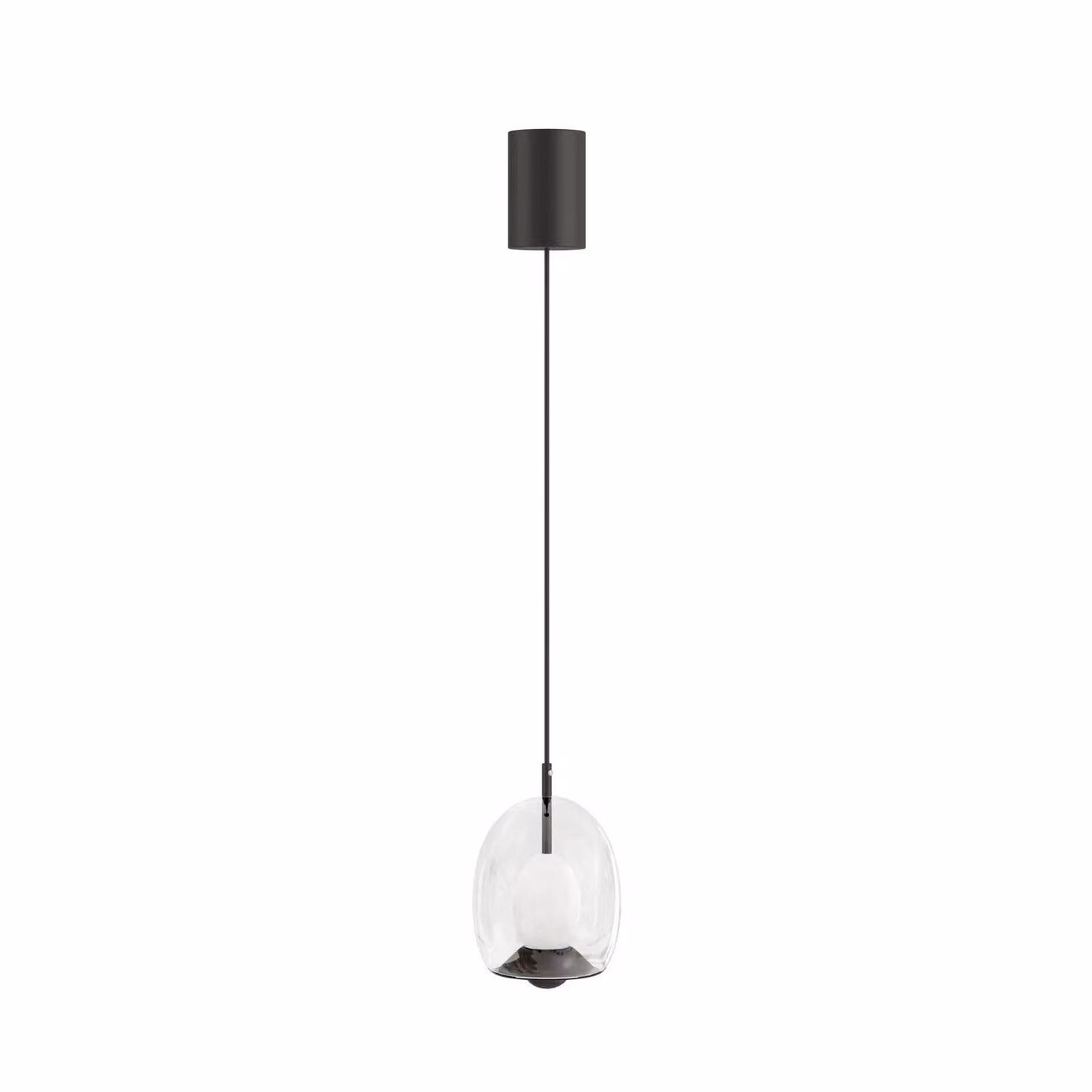 Dome Deco OTIS II Transparent Glass and Black Metal Pendant Light