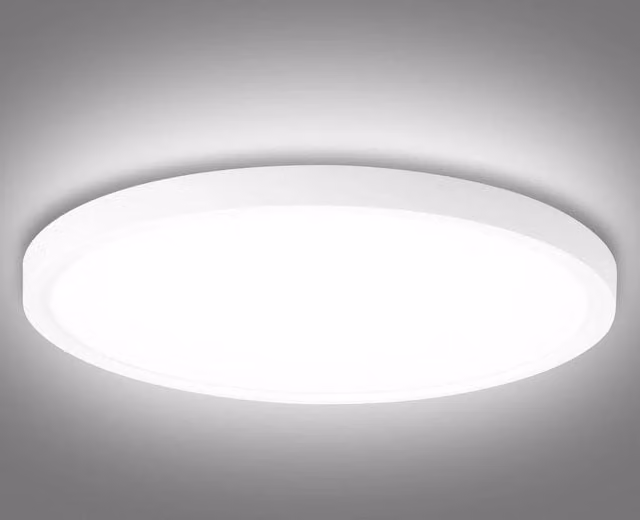NESTLUNE 12W LED Round Flat Ceiling Light in White