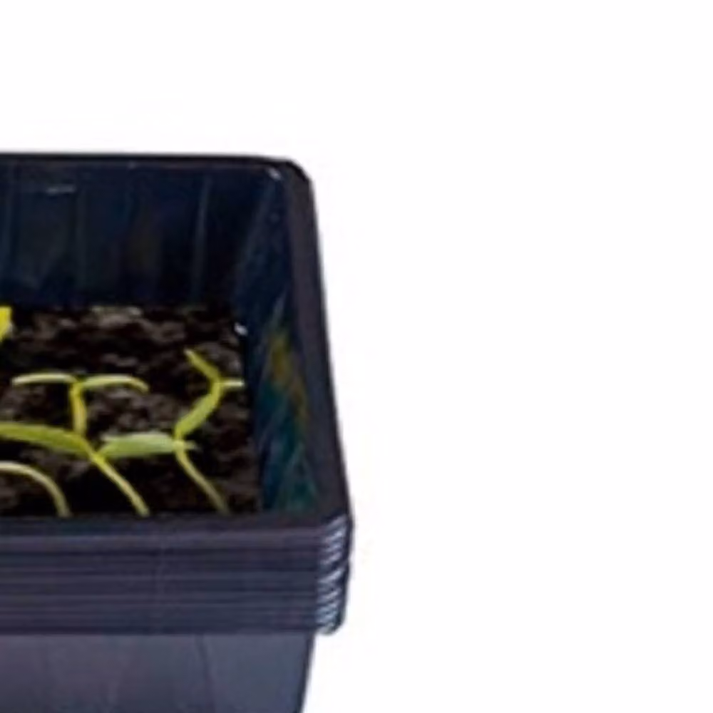 Ambassador Black Plastic Seed Tray Planter – 2