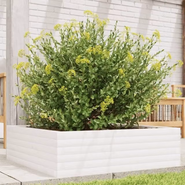 Berkfield Home White Solid Wood Pine Garden Planter Tub W/D/H: 80 x 80 x 23 cm – 1