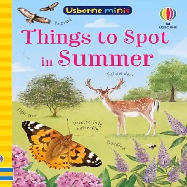 Things to Spot in Summer by Lara Bryan, Usborne Publishing Ltd, Multicolour Paperback Book