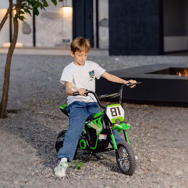 AIYAPLAY Kids 24V Electric Dirt Bike Ride On Motorbike in Green