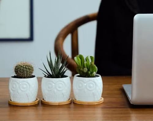 Simpa 6-Piece White Owl Ceramic Decorative Plant Pots, H 7.3 cm x Dia 7.3 cm – 7