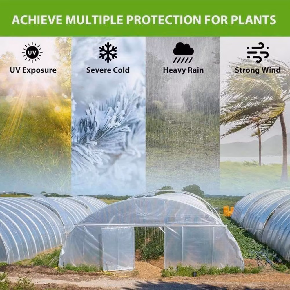 FLAVORA Extra-Thick Transparent Polythene Sheeting – 2