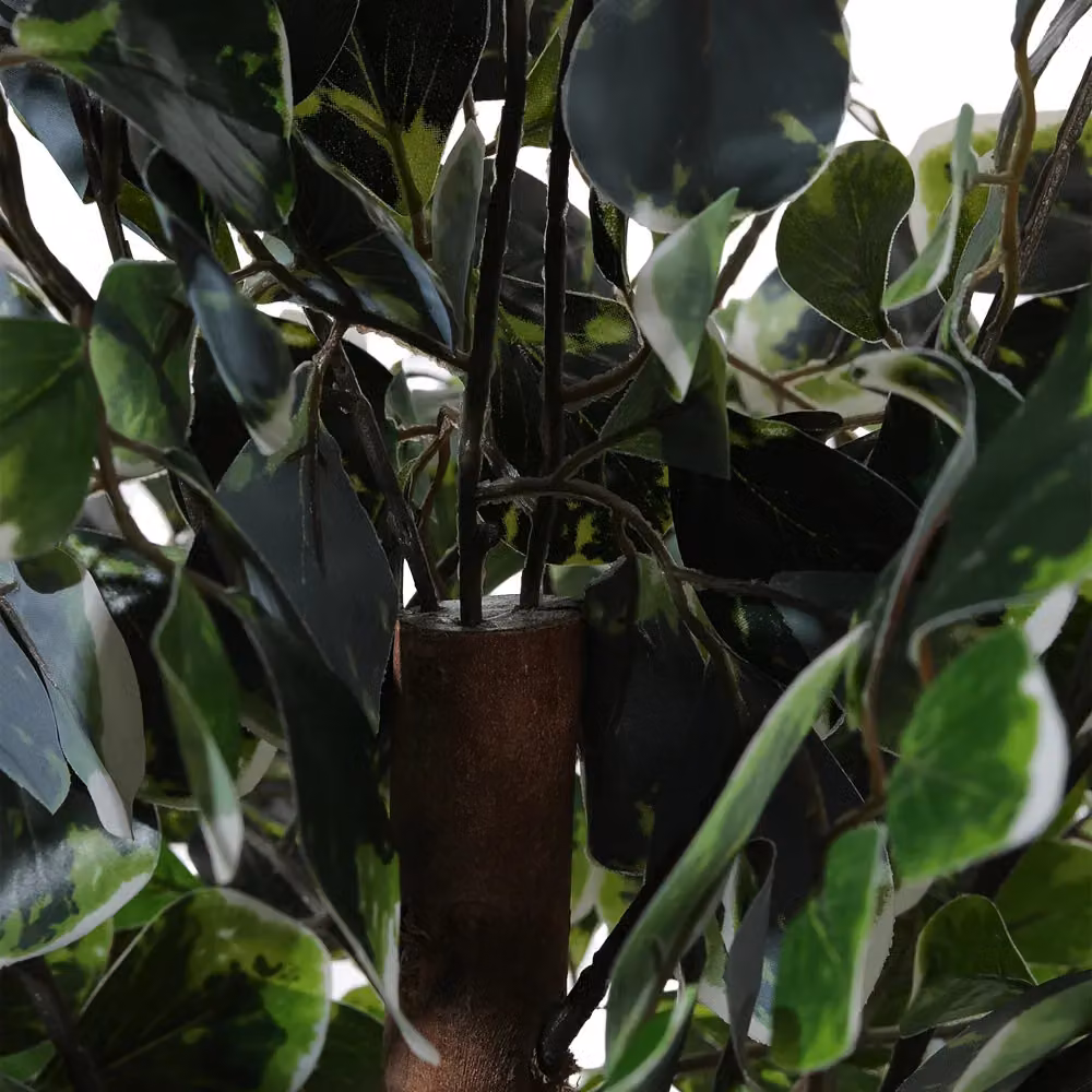 Garden Sanctuary Green Artificial Zamioculcas Plant in Planter, Height: 185 cm – 3