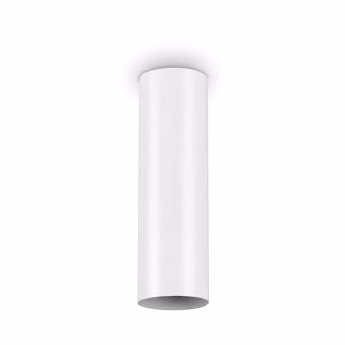 Netlighting Look White Surface Mounted Cylinder Ceiling Lamp with GU10 LED Bulb