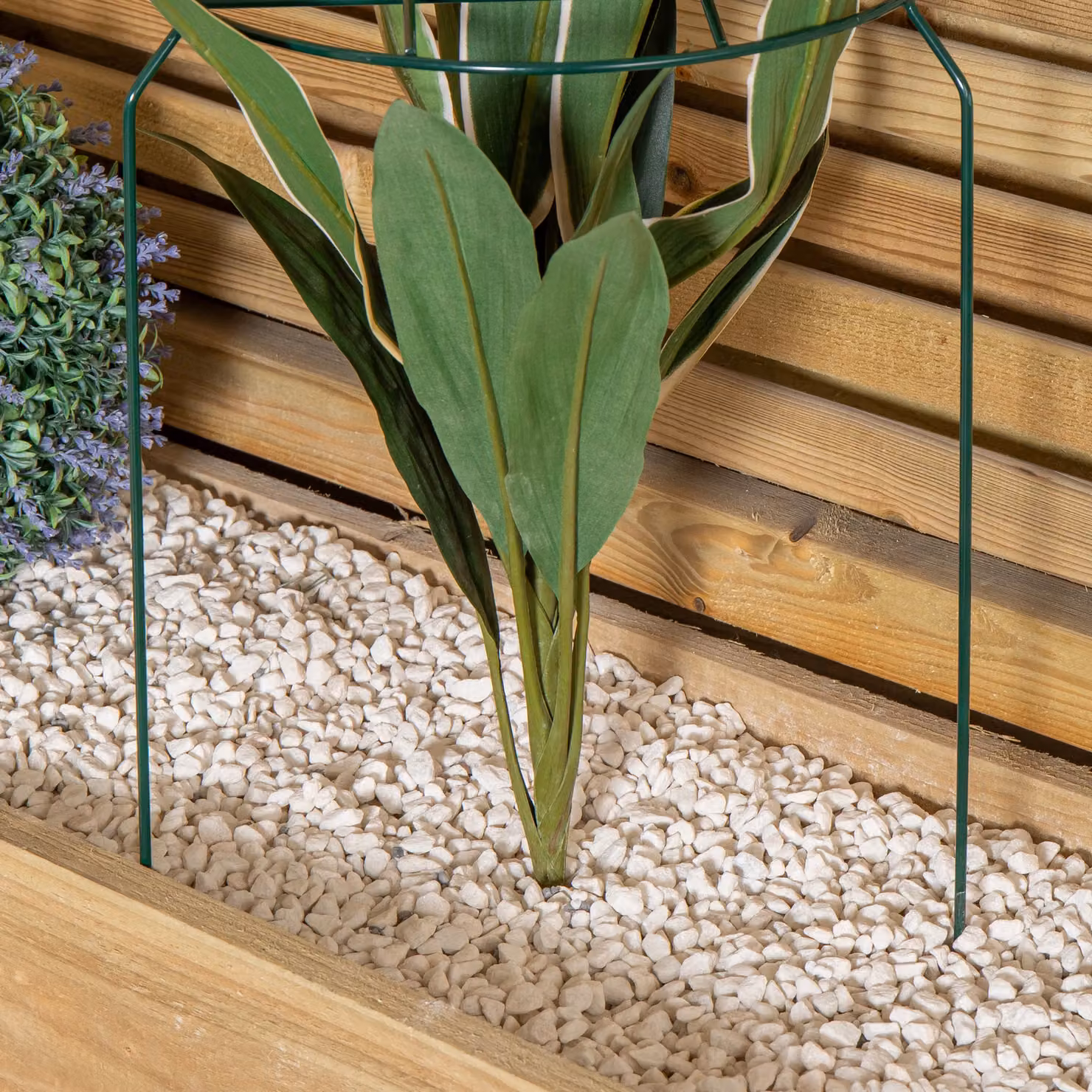 Samuel ALEXANDER Pack of 3 Green Metal Herbaceous Garden Plant Supports, W/D/H: 50 x 30 x 30 cm – 5