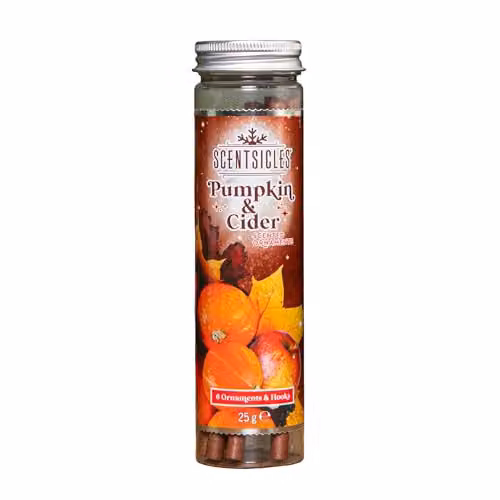 Samuel ALEXANDER Pumpkin and Cider Scented Christmas Scentsicles, 25g