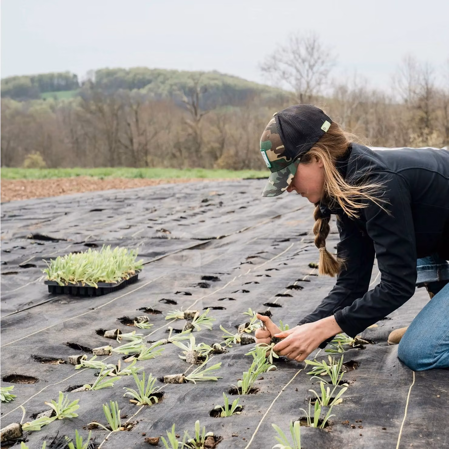 Pegdev Durable Polywoven Groundcover Fabric, Black, 6m x 1m – 3