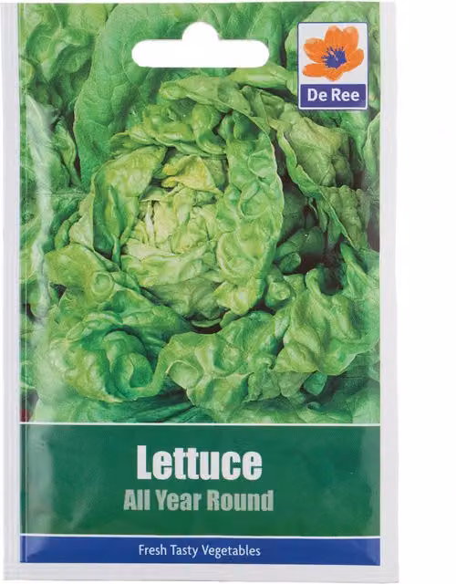 De Ree All Year Round Green Lettuce Vegetable Seeds