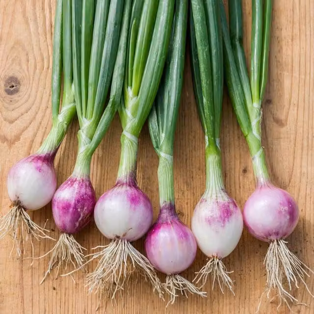 Marshalls Red Onion Seeds, 250 g