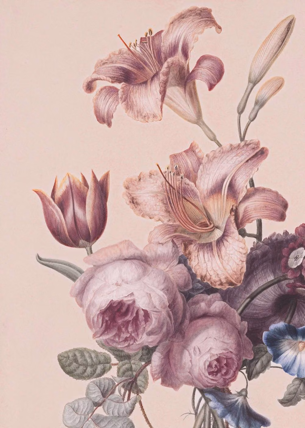 Superfresco Easy Antique Floral Mural in Soft Blush Pink, W: 300 cm, H: 280 cm – 2