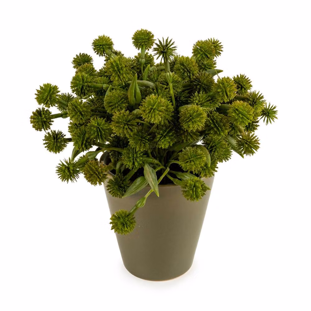 Madison & Mayfair Modern Allium Potted Plant in Ceramic Pot, Yellow, Orange and Green, H: 20.32 cm, W: 20.32 cm, D: 20.32 cm – 2