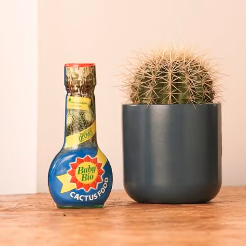 Baby Bio Cactus Food Liquid Concentrate Fertiliser, 175ml – 3