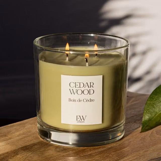 Marco Paul Green 3 Wick Scented Candle with Woody and Fresh Fragrance in a Round Glass Container