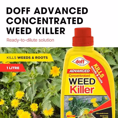Doff Glyphosate Weedkiller Concentrate 1 l – 2