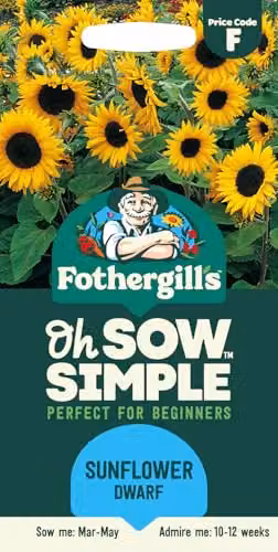 Mr Fothergill's Oh Sow Simple Dwarf Sunflower Flower Seeds, Yellow