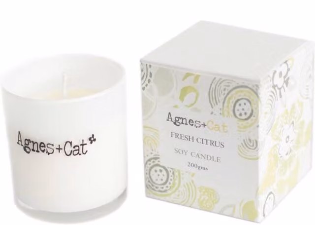 KDMD Agnes & Cat Fresh Citrus Soy Votive Candle in White and Silver