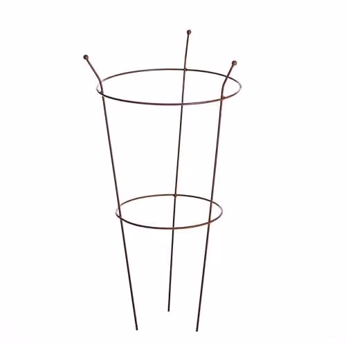 Garden Gear Heavy Duty Steel Peony Frame Outdoor Garden Plant Support Ring in Rust, H 63 cm x W 34 cm – 1