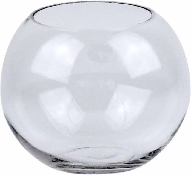 KDMD Round Glass Fish Bowl Vase, Transparent, Diameter: 16 cm