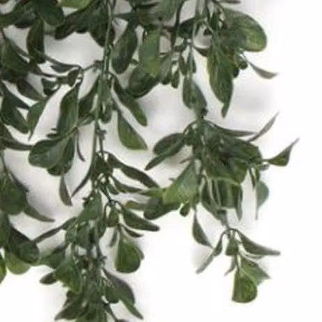 Green Leaf Artificial Hanging Peperomia Plant, UV and Fire Resistant, 68 cm – 2