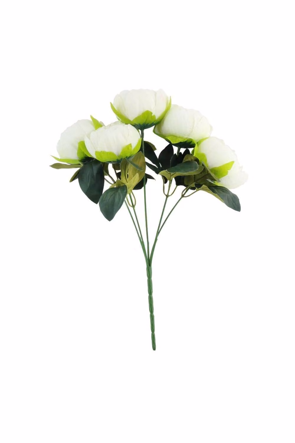 KDMD Ivory Arundel White Peony Bush 2 Pack – 3