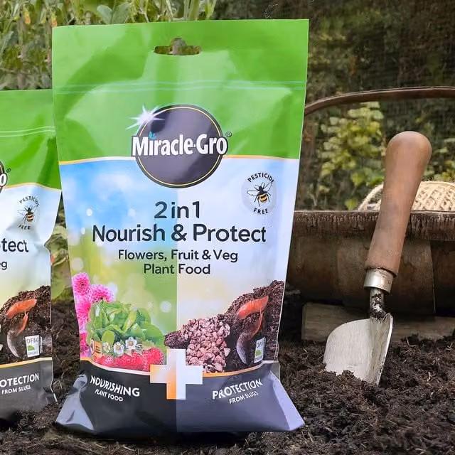 Miracle-Gro 2 In 1 Plant Food for Vegetable, Ornamental and Herb Gardens, 1kg