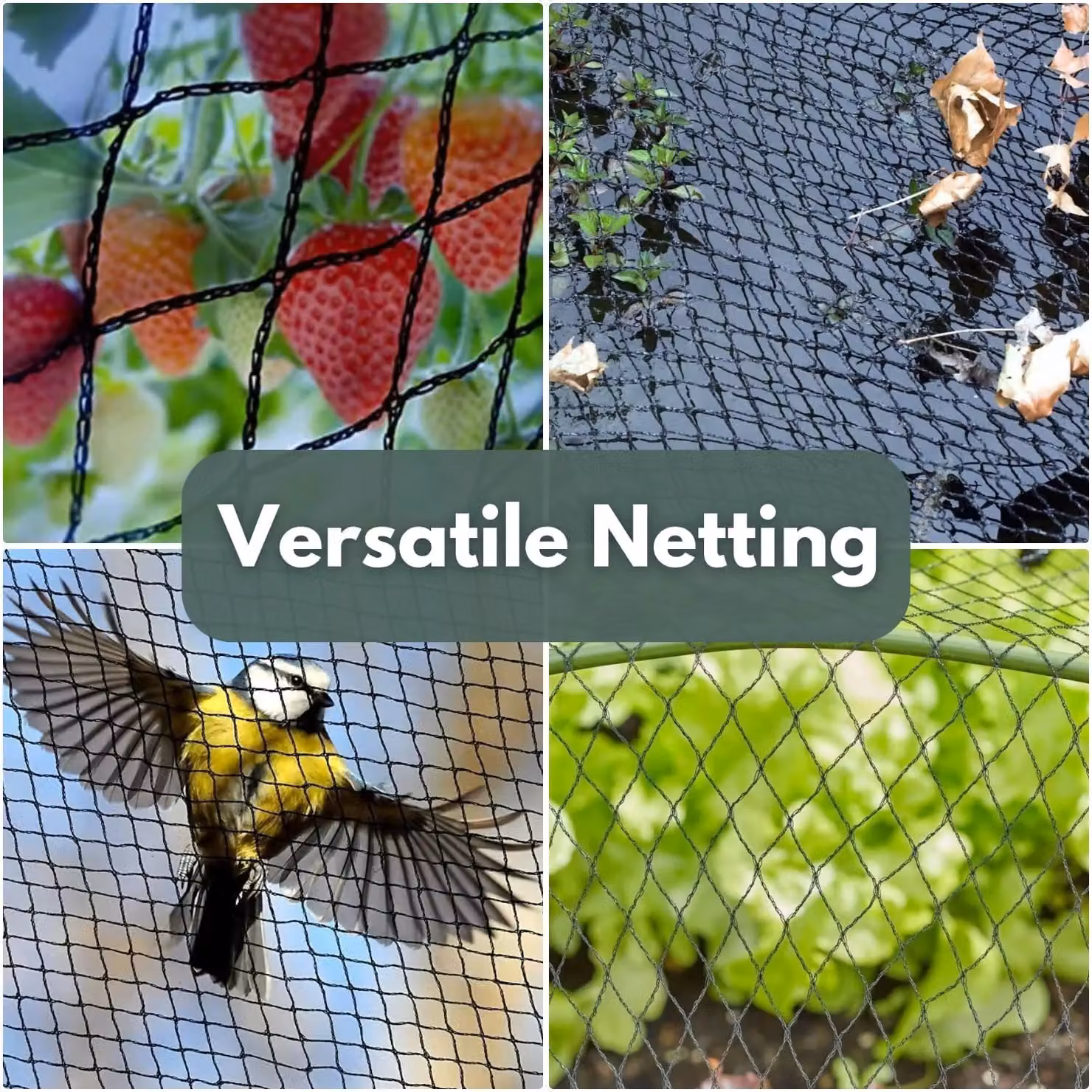 Marco Paul Black Plastic Bird Netting for Vegetable Gardens, W: 2 m, L: 20 m – 5