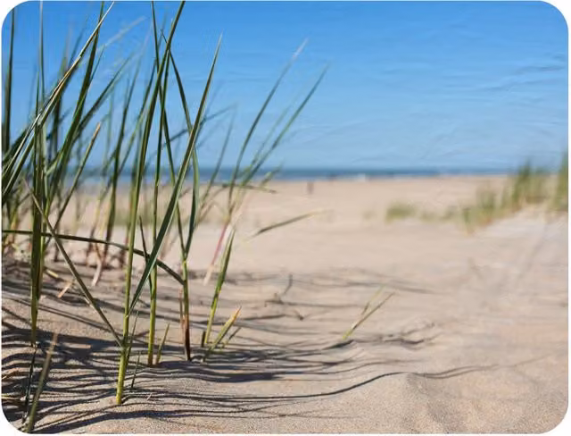 Benjamin Tate Design Grass in the Sand Dunes with Lake Fleece Blanket, Multicolour, W: 120 cm, D: 150 cm – 2
