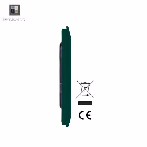Trendi Switch Artistic Modern Glossy Decorative Double Wall Blanking Plate in Green – 3