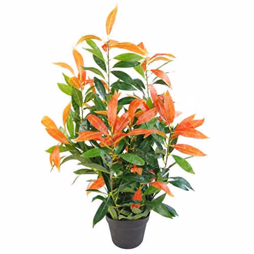 Leaf Artificial Potted Ficus Tree in Red, Green and Black, Height: 80 cm – 1