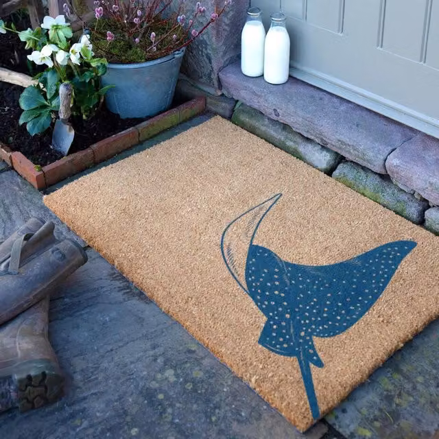 Artsy Mats Sting Ray Doormat in Brown, W/D: 90 x 60 cm