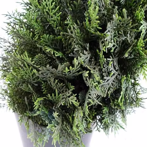 Leaf Design UK Artificial Boxwood Spiral Twist Topiary Tree, Green, H 120 cm x W 35 cm x D 35 cm – 2